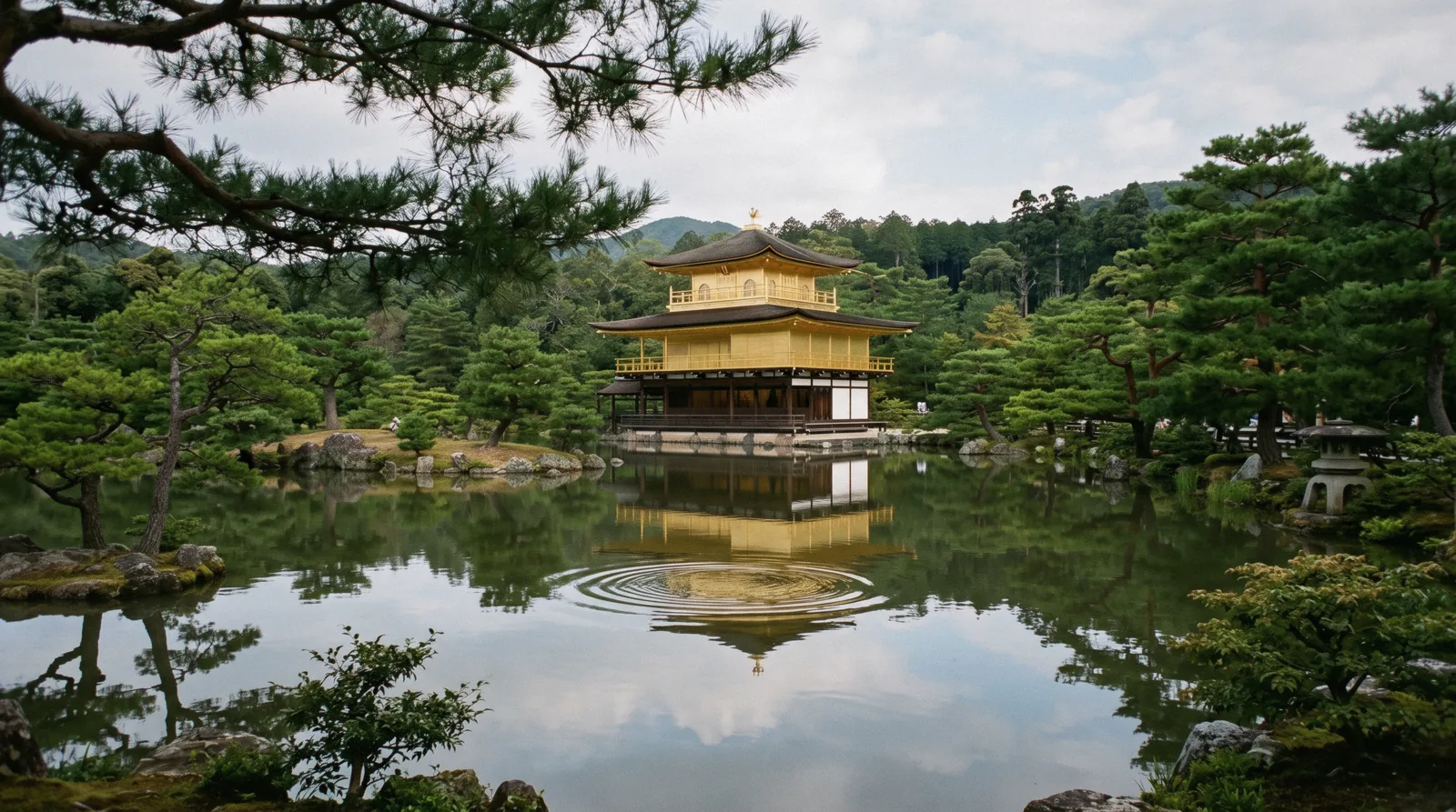 Gold leaf on Kinkaku-ji mirrored in the pond in flat morning light, Kyoto