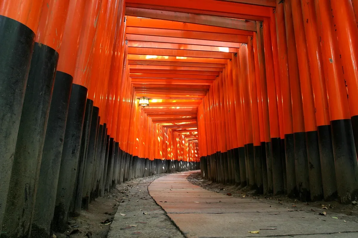 The vermilion torii corridor climbing the hillside at Fushimi Inari, Kyoto